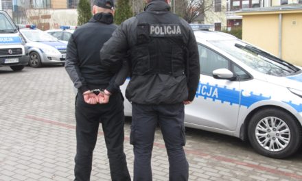 Pruszcz Gdański- Podejrzani o rozbój trafili do aresztu