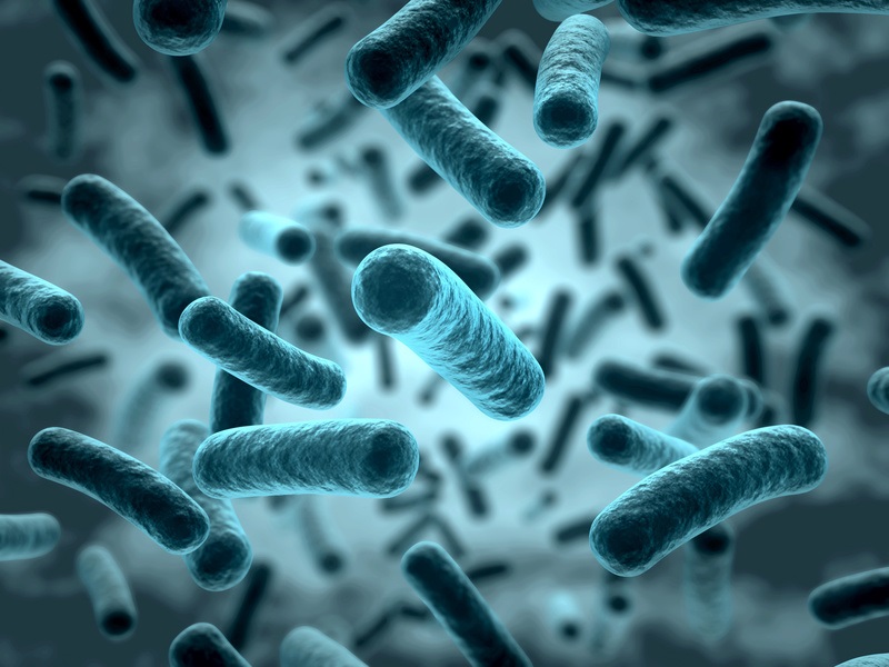 „Superbakteria” odporna na antybiotyki już na Pomorzu. Pochodzić ma z krajów arabskich