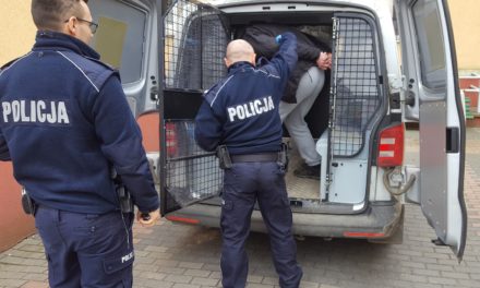 Wzrost przestępczości w Pruszczu Gdańskim w statystykach GUS