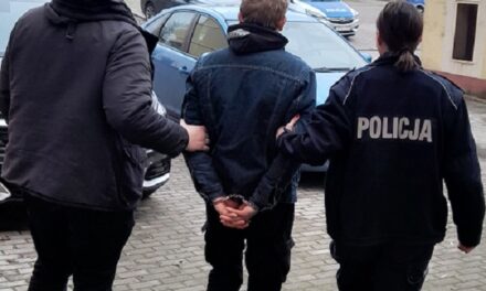 Pruszcz Gdański – Tymczasowy areszt dla 27-latka za znęcanie się nad partnerką